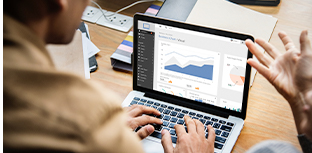 Business Technology - Enterprise systems and agility